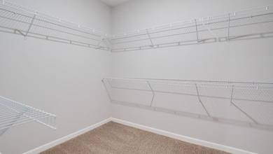 Spacious closet featuring carpet