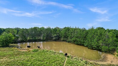 TBD Dugan Chapel Rd, Bells, TX 75414 - photo 7