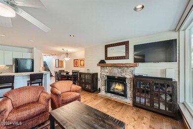 Simba Run Vail #1429 - MLS Sized - 005 -