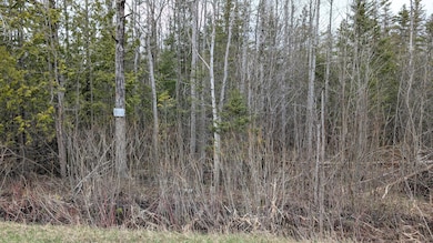 PXL_20250502_190032850