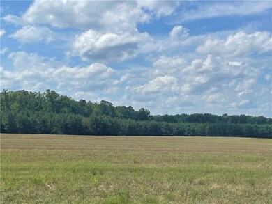 View of local wilderness featuring a rural view