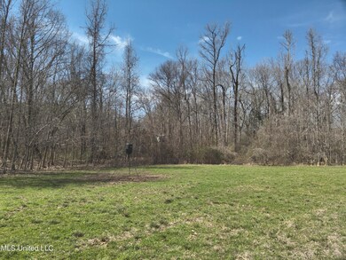 DJI_20250303113108_0006_V