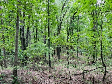 000 Boiling Springs Rd, Licking, MO 65542 - photo 6