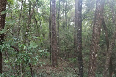 0 Arikara Dr unit 3 287846, Crawfordville, FL 32327 - photo 3