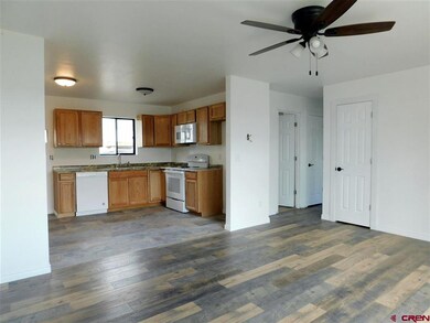 355 NW 4th St, Cedaredge, CO 81413 - photo 4