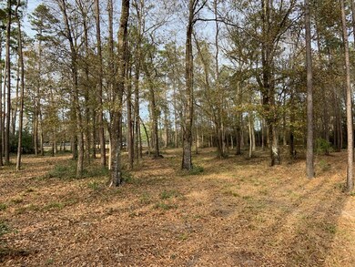 8437 Hwy 94, Lufkin, OK 74904 - photo 5