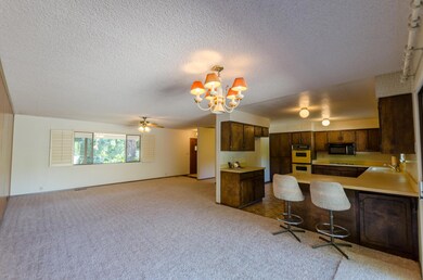 4001 Hope Ln, Dunsmuir, CA 96025 - photo 6