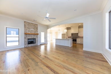 101 Springs Crossing, Madison, MS 39110 - photo 4