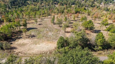 TBD County Road 4112 Lot 3, Lindale, TX 75771 - photo 4