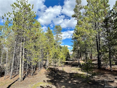 143 Fir Dr, Twin Lakes, CO 80461 - photo 7