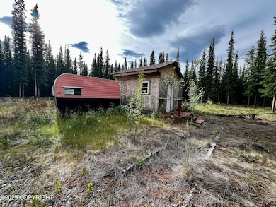 L13 Frostwoods St, Tok, AK 99780 - photo 5
