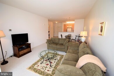 Lakeland Ridge Condominiums unit 309, Gaithersburg, MD 20878 - photo 3