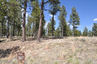 Lot 267