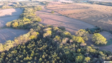 No Situs 80 Ac 612th Ave, Sterling, NE 68443 - photo 6