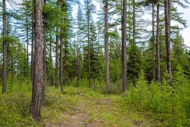 2600 Mountain Home Lot 17 Rd, Whitefish, MT 59937 - photo 5