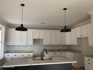 5036 Watson Place Blvd, Nesbit, MS 38651 - photo 4
