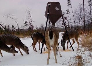 140 County Road 5131, Booneville, MS 38829 - photo 7