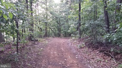 2900 Rock Face Rd, Levels, WV 25431 - photo 6