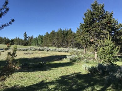 Perfect Combo of Trees & Open