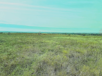 2335 County Road 619, Pottsville, TX 76565 - photo 5