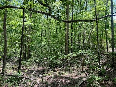 0 Hwy 163 unit 1512095, Calhoun, TN 37309 - photo 3