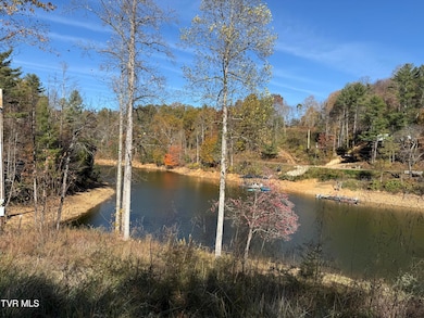 #26 Vineyard Valley Trail, Butler, TN 37640 - photo 4