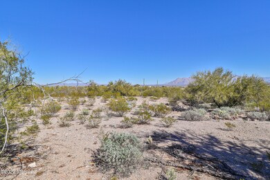 IMG_9770