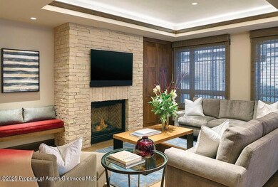 219 E Durant Ave unit H17, Aspen, CO 81611 - photo 4