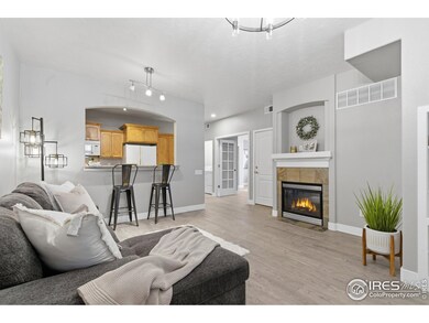 4101 Crittenton Ln unit 301, Wellington, CO 80549 - photo 7