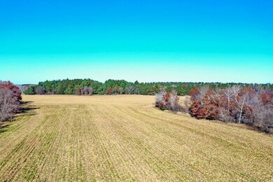 Tbd Flamingo St, Isanti, MN 55040 - photo 5