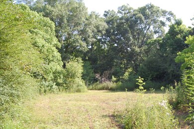 195 Curlie Seal Rd, Picayune, MS 39466 - photo 7