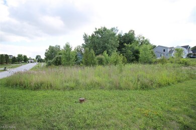 272 Victorridge Dr, Streetsboro, OH 44241 - photo 4