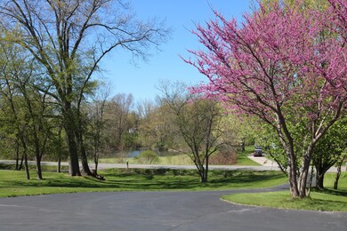 Front View to Road
