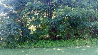 Back side of property