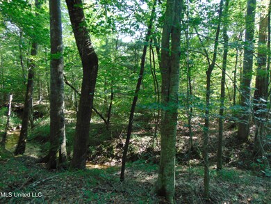 1015 Tarver Ln, Wesson, MS 39191 - photo 7