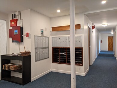 114 Pleasant St unit 405, Arlington, MA 02476 - photo 4