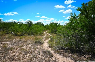000 Cr 342, Beeville, TX 78102 - photo 2