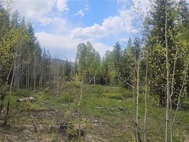 Meadowy Building site