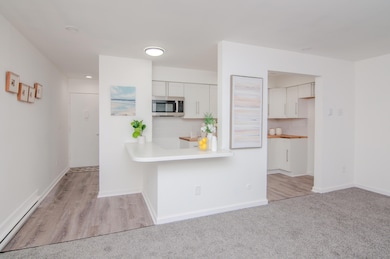 4194 Packard St unit 1, Ann Arbor, MI 48108 - photo 4