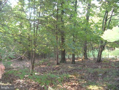 49E - 49F Tinderbox Ln, Gainesboro, VA 22603 - photo 6