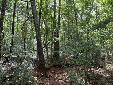 0000 Farm To Market Road 2864, Nacogdoches, TX 75965 - photo 7