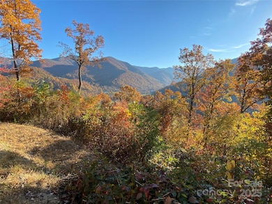 40 Cougar Ln unit 13,14,15,16, Maggie Valley, NC 28751 - photo 7
