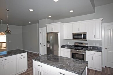 Stainless Steel appliances