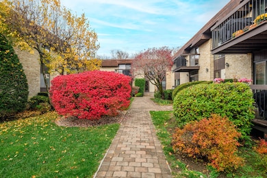 Beautiful blooming bushes as you approach the front door