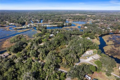 4351 N Mate Ln, Hernando, FL 34442 - photo 6