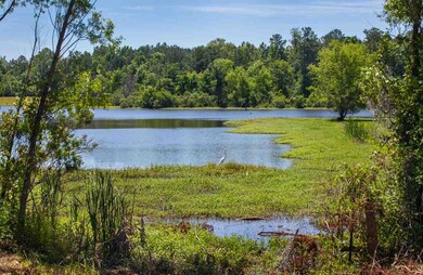 620 Echo Cove, Brandon, MS 39042 - photo 2