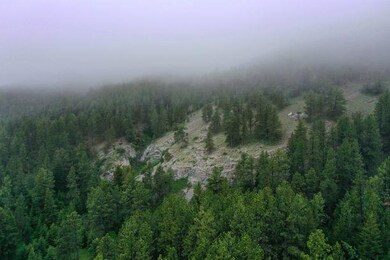 DJI_0831