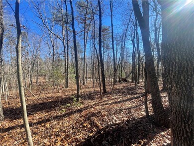 00 Cassidy Bridge and Buckeye Ridge Rd, Mountain  Rest, SC 29664 - photo 7