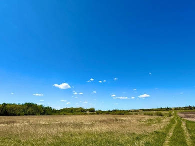 TBD 240 Ave, Callaway, MN 56521 - photo 7