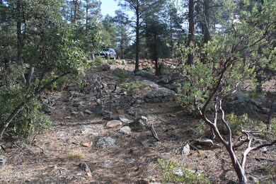 000 Sundown Ln unit 104, Pine, AZ 85544 - photo 7